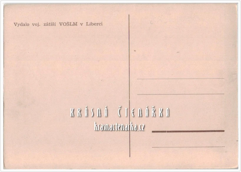 VOJENSKÁ, Stůj kdo tam ? (VOŠLM Liberec)