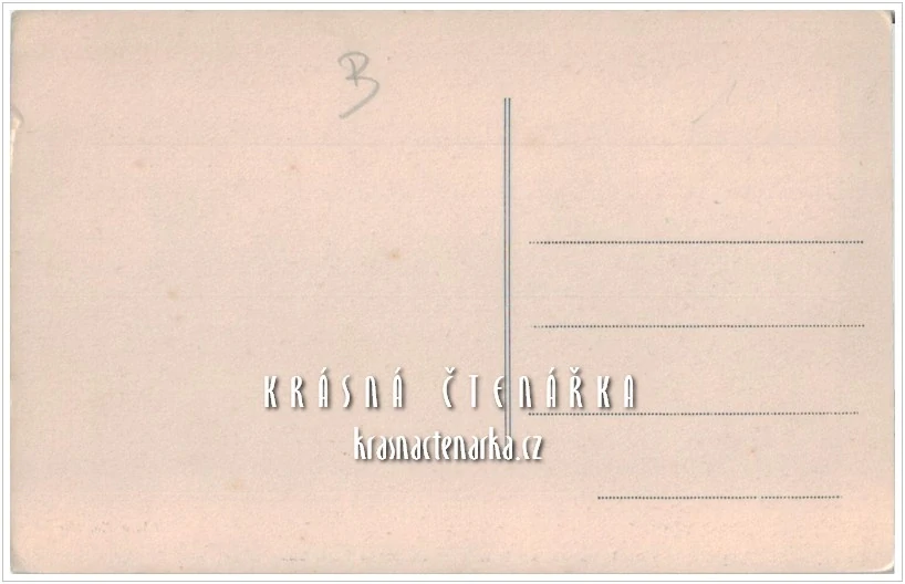 VOJENSKÁ, Pontový most přes Rýn