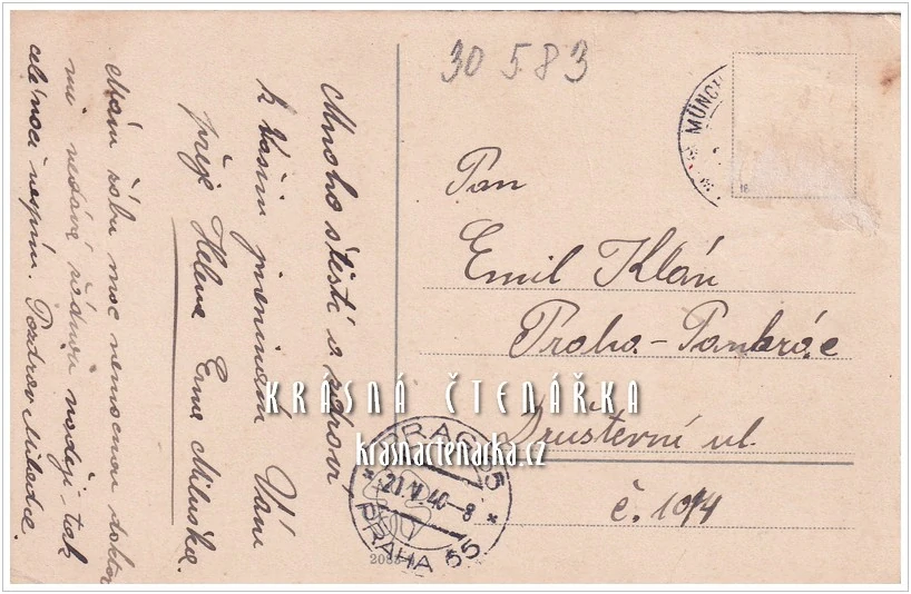 BLAHOPŘÁNÍ květinové, RŮŽE