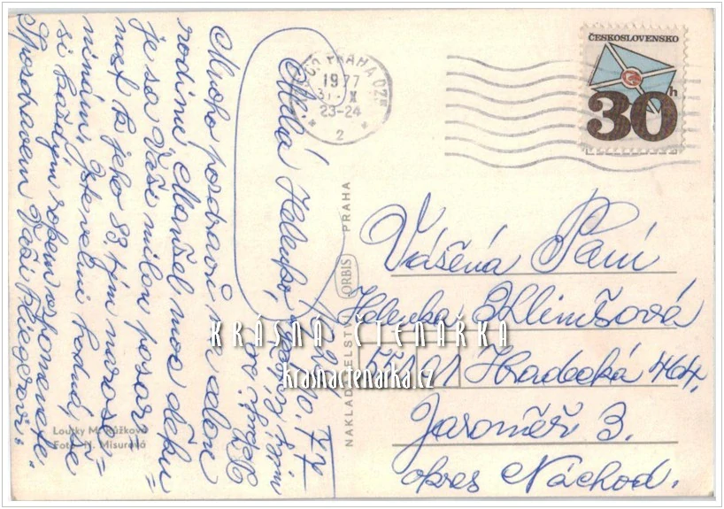 MYSLIVEC (il. Růžková Marie)