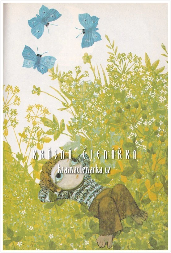 V MÁMINĚ NÁRUČÍ (Nechvátal František, il. Kudláček Jan)