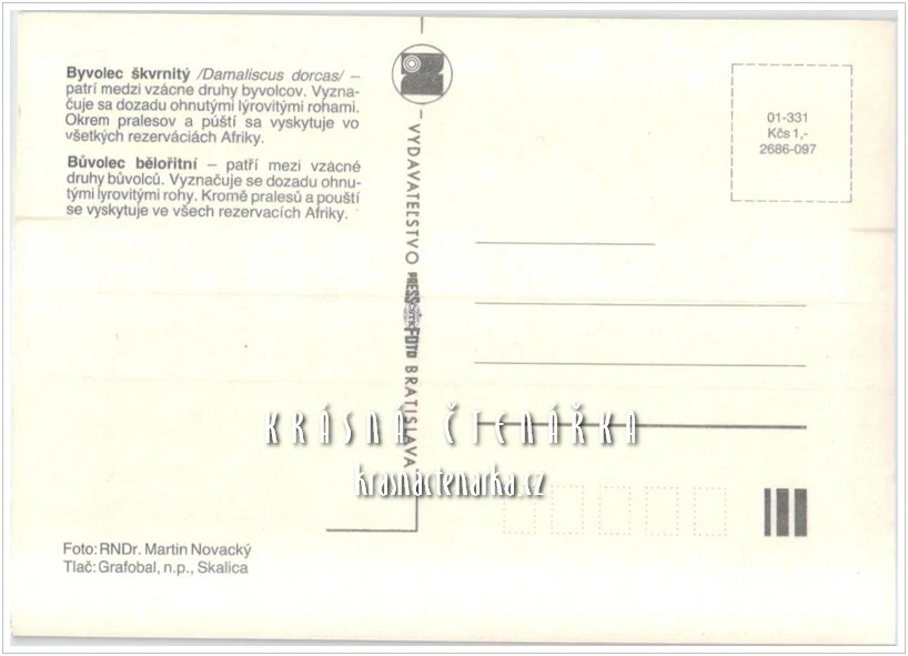 BŮVOLEC BĚLOŘITNÍ