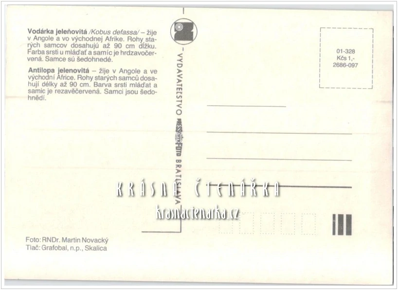 ANTILOPA JELENOVITÁ