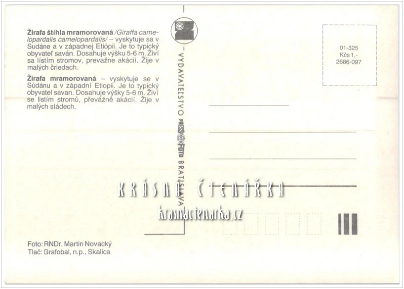 ŽIRAFA MRAMOROVANÁ