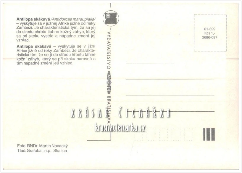ANTILOPA SKÁKAVÁ