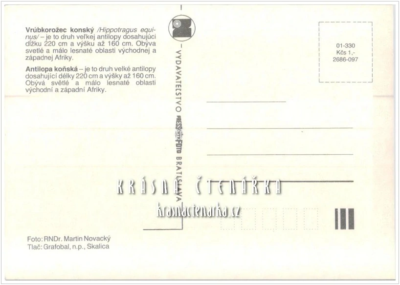 ANTILOPA KOŇSKÁ
