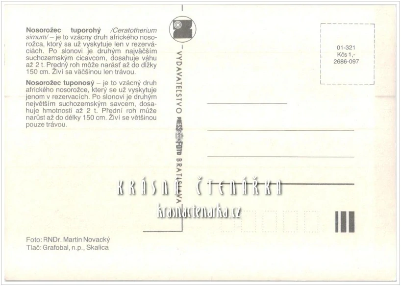 NOSOROŽEC TUPONOSÝ