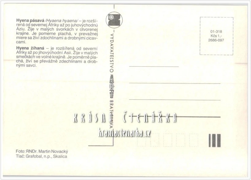 HYENA ŽÍHANÁ