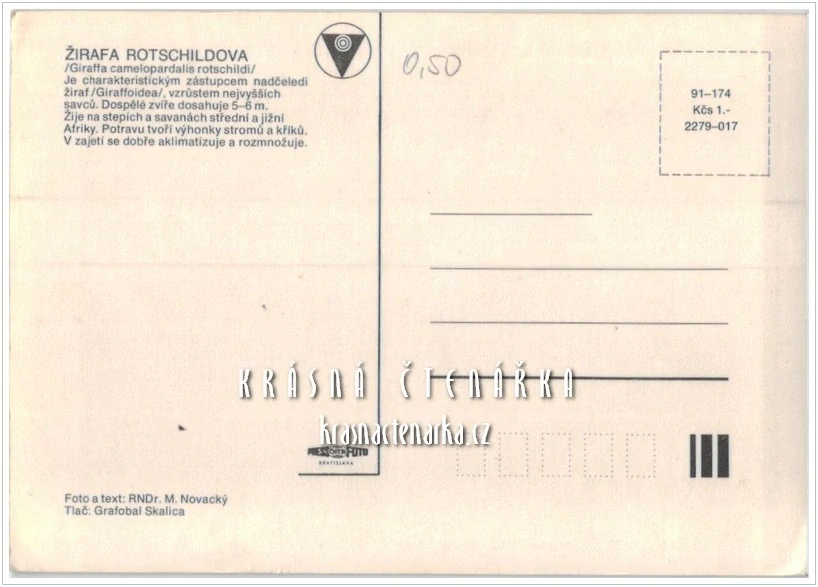ŽIRAFA ROTSCHILDOVA