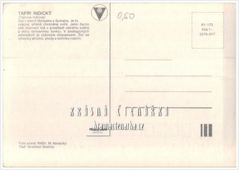 TAPÍR INDICKÝ
