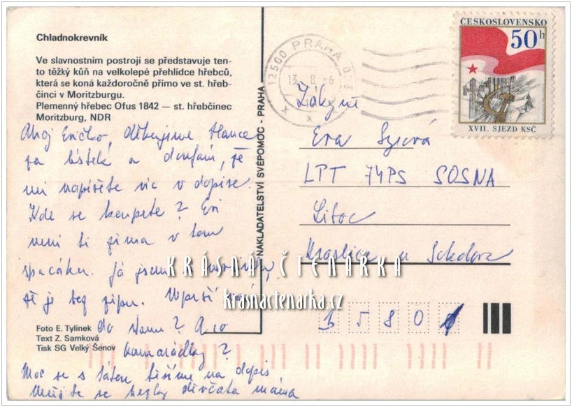 Kůň CHLADNOKREVNÍK