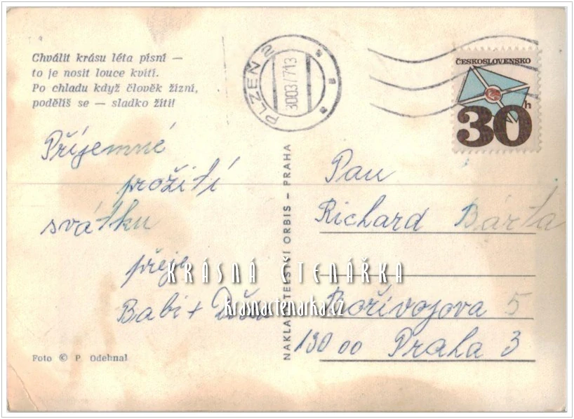 Mlsající PES a DÁMA