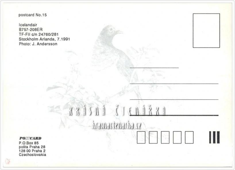 Letadlo ICELANDAIR B757-208ER