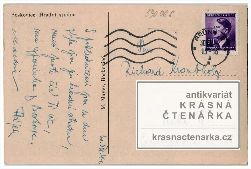 BOSKOVICE, Hradní studna