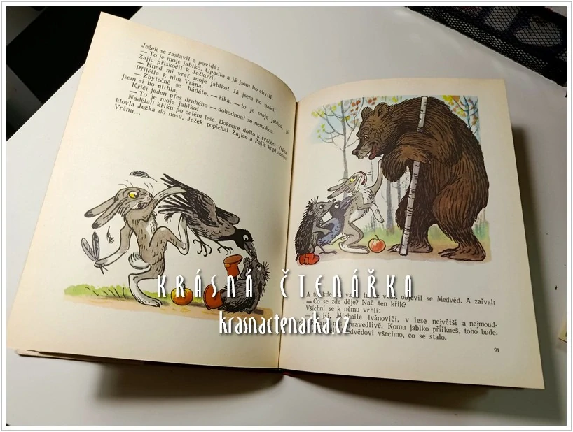 POHÁDKY A OBRÁZKY (Sutějev Vladimír)