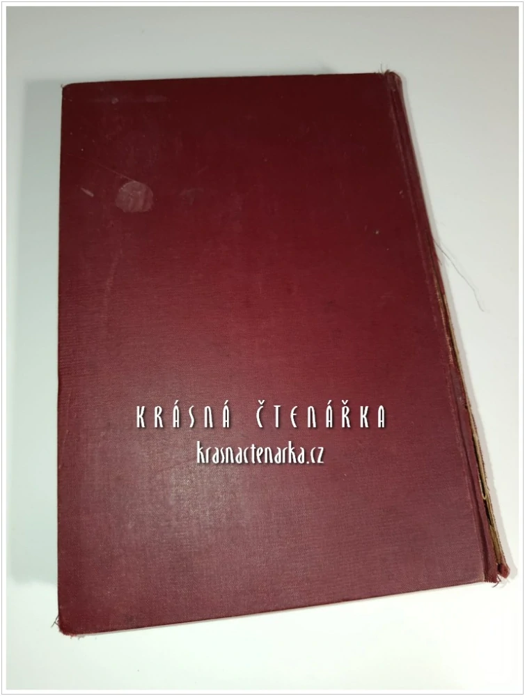 DER FLUβSCHIFFBAU (EINSCHLIESSLICH TREIBMITTEL), Ein Hand- und Lehrbuch für Ingenieure, Studierende und Schiffahrttreibende (Teubert Wilhelm) (Konstrukce říčních plavidel)