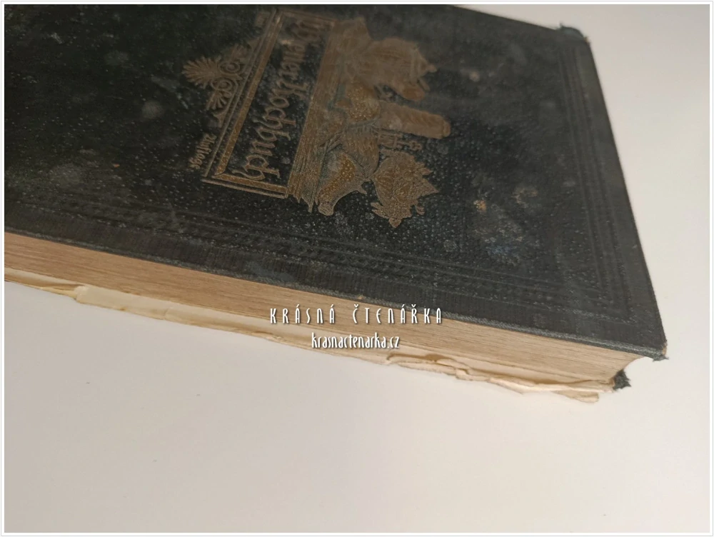 WIENER KOCH- UND WIRTHSCHAFTSBUCH für den bürgerlichen Haushalt (Amalie von Grünzweig) | Vídeňská kuchařka pro měšťanskou domácnost