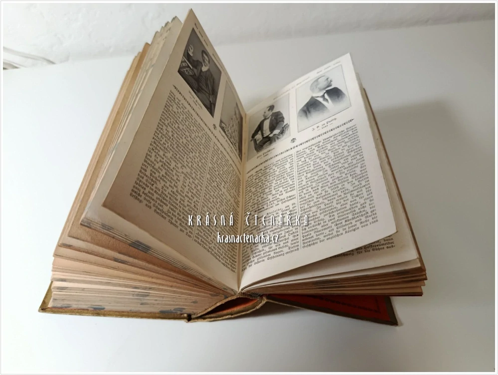 DAS GOLDENE BUCH DES THEATERS | Ilustrovaná příručka věnovaná dějinám divadla, dramatickému umění a divadelní kultuře z roku 1902