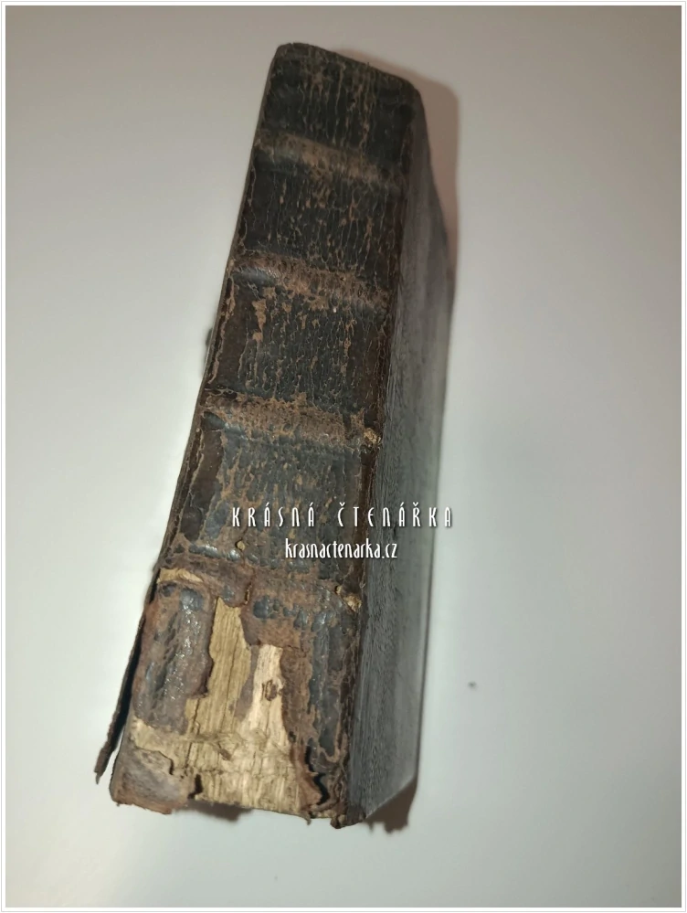 DAS PRIVILEGIRTE ORDENTLICHE UND VERMEHRTE DREẞDNISCHE GESANG-BUCH + Tägliche Kirchen-Andachten | DRÁŽĎANSKÝ KANCIONÁL + MODLITBY | Vzácný barokní konvolut (1728)