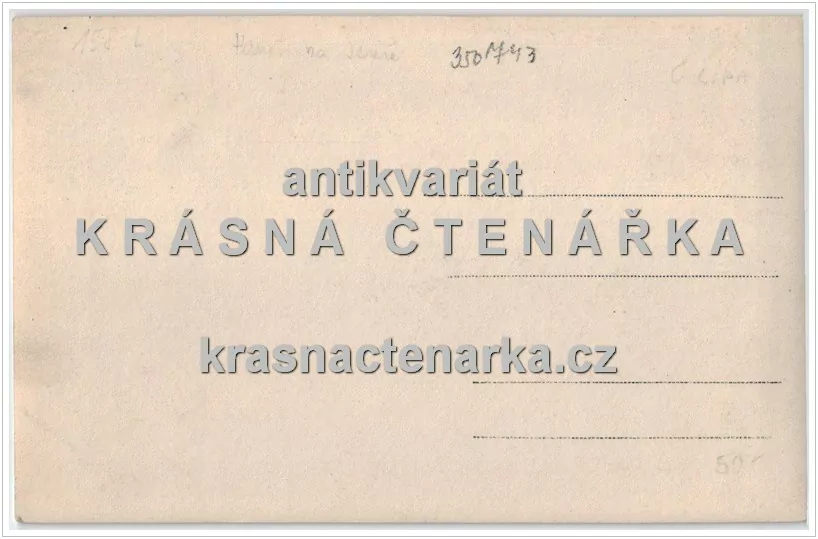 HAMR NA JEZEŘE, Pohled na hotely a molo