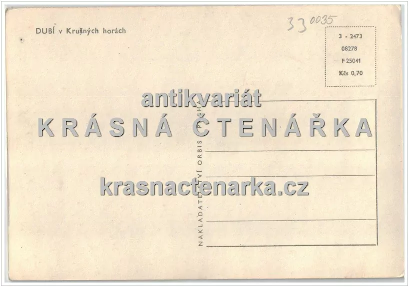 DUBÍ, Kostel Neposkvrněného početí Panny Marie