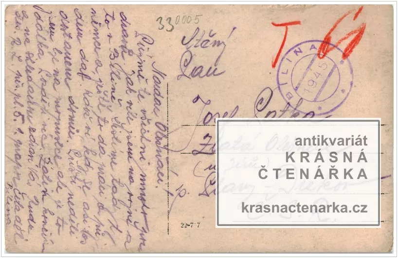 Zámek BÍLINA