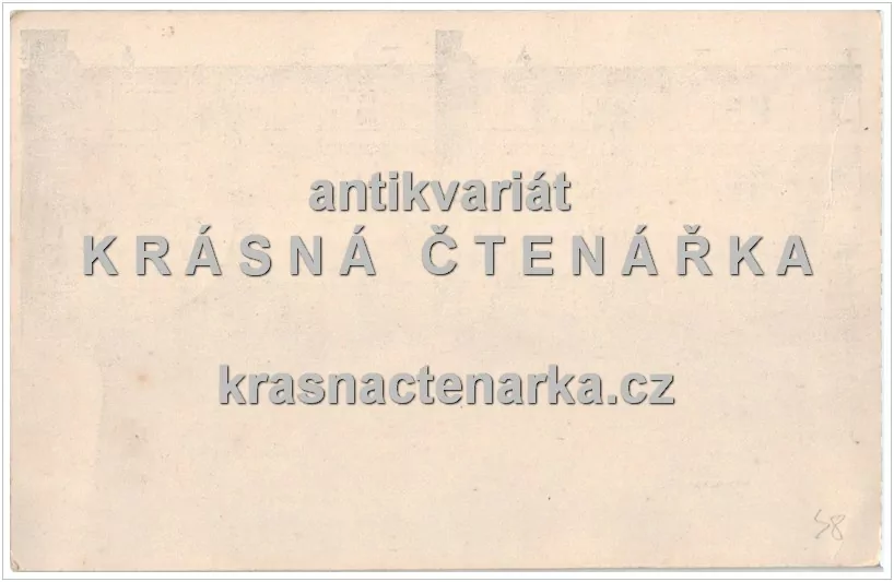 PRAHA, Pomník Karla IV. (Stereoskopie)