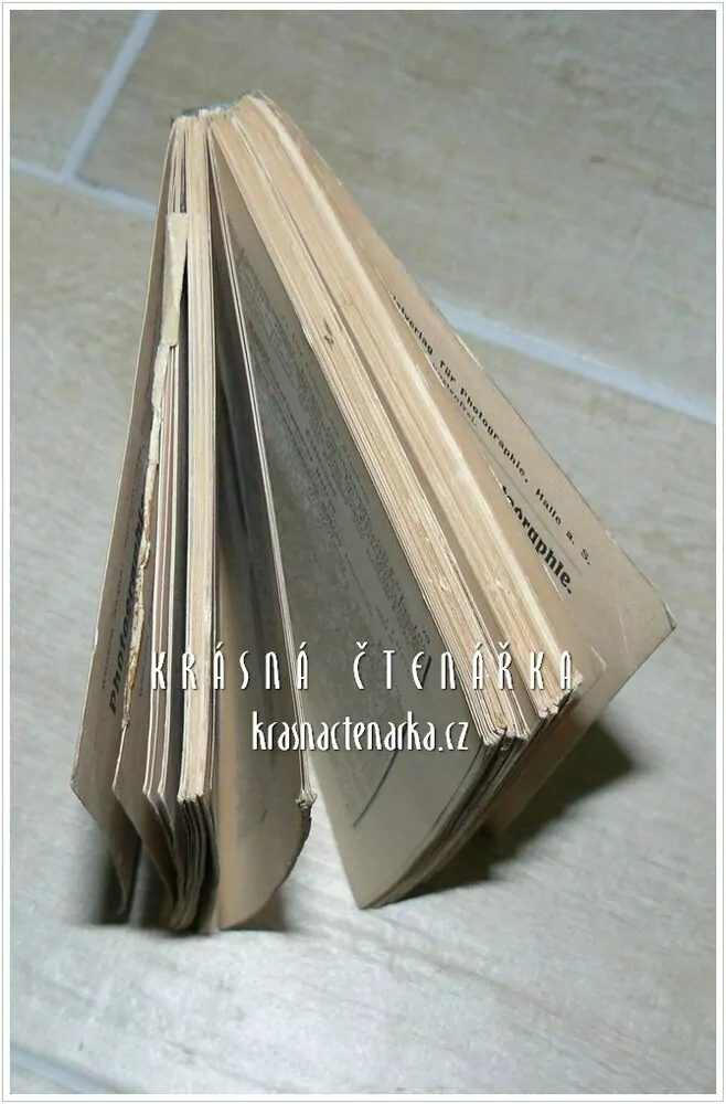 RATGEBER FÜR ANFÄGER IM PHOTOGRAPHIEREN (Lehrbuch für Amateurphotographen)(David Leopold)