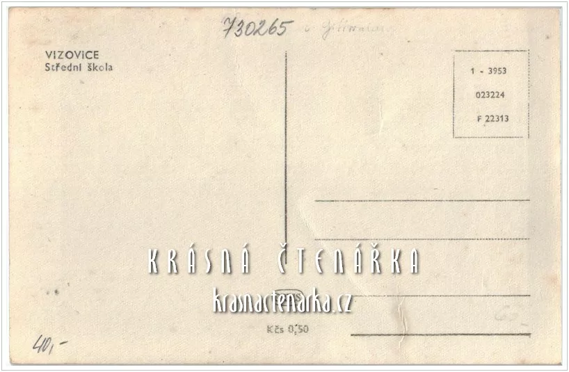 VIZOVICE, Střední škola