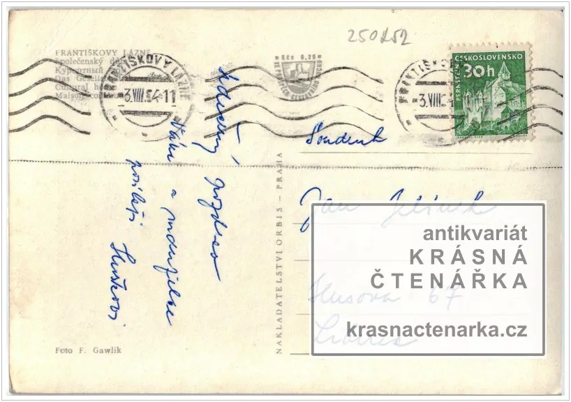 FRANTIŠKOVY LÁZNĚ  (pohled na Společenský dům)