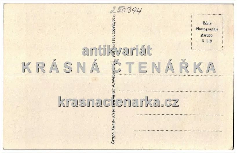 FRANTIŠKOVY LÁZNĚ (pramen Adler)