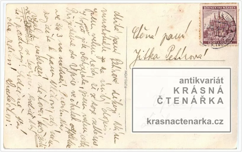 zřícenina hradu TROSKY