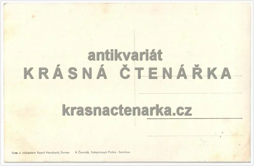 hrad VALDŠTEJN (obraz sv. Jana Křtitele)