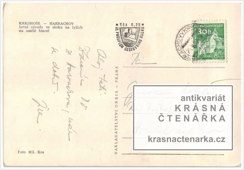 HARRACHOV (letní závody ve skoku na lyžích)