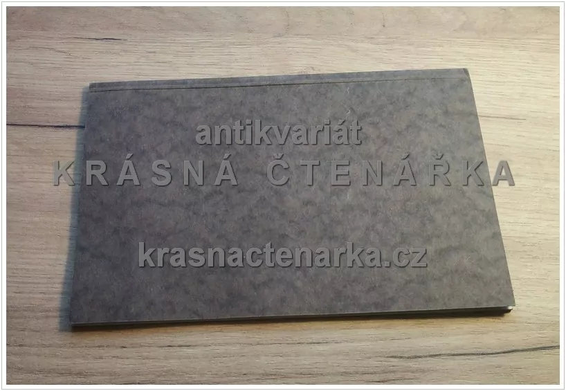 60 JAHRE LETTISCHER KUNST (Suta Roman)