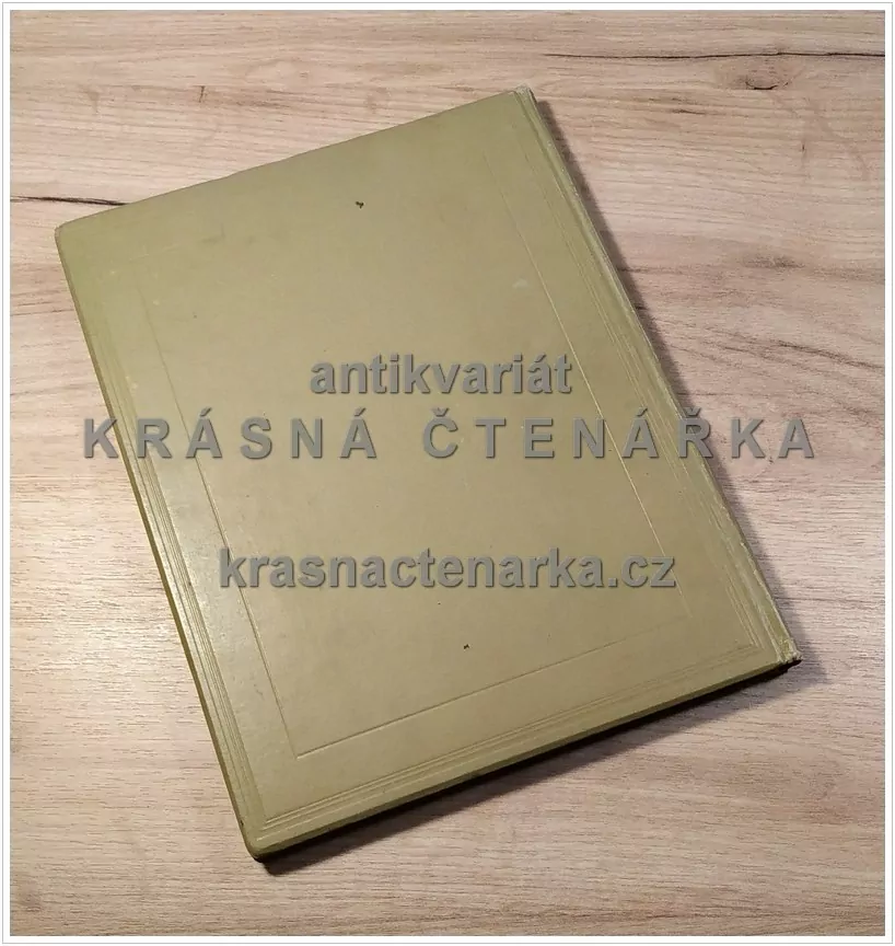 DER VOGT AUF MÜHLSTEIN (Eine Erzählung aus dem Schwarzwald) (Hansjakob Heinrich, il. Hafemann Wilhem)