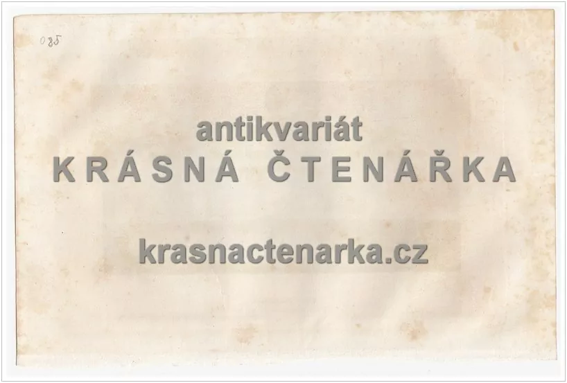 DIE BAVARIA UND DIE RUHMESHALLE IN MÜNCHEN (NĚMECKO)(ocelorytina )