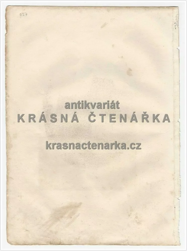 DIE MARIENBURG IN PREUSSEN (Malbork, Polsko) MADONNENSEITE (Lloyd, ocelorytina)