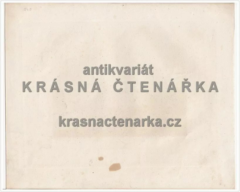 HOLOMÚC S WÝCHODNÍ STRANY (OLOMOUC)(Höfer / Wurbs / Haase, ocelorytina) 