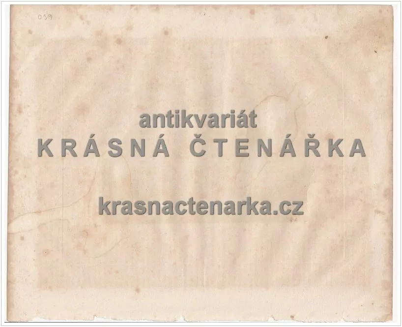 FRIESACH (KÄRTEN)(Wagner / Rybička, ocelorytina)