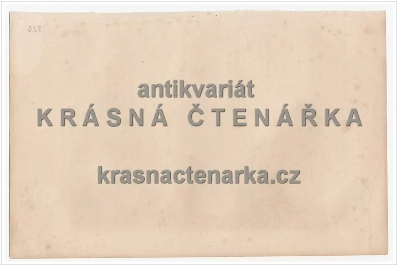 CHRÁM SV. ŠTĚPÁNA NA NOVÉM MĚSTĚ PRAŽSKÉM (Kandler / Merckel  ocelorytina)