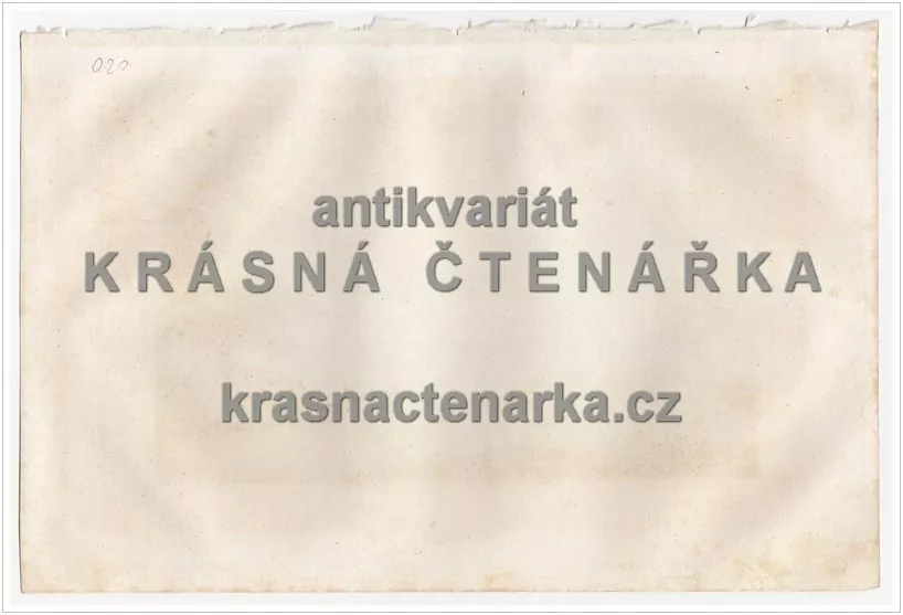 MÜNCHEN(ocelorytina)