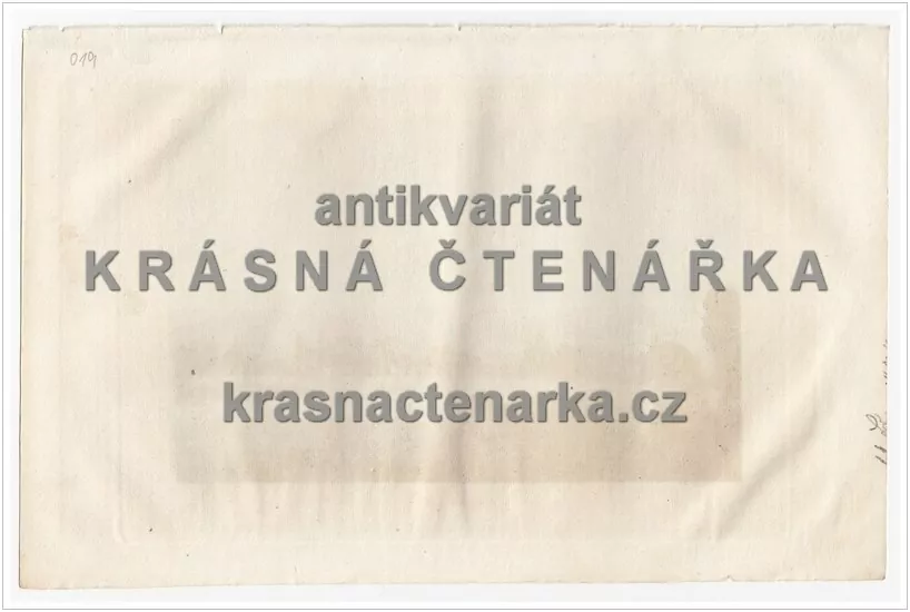 OXFORD IN ENGLAND (ocelorytina)