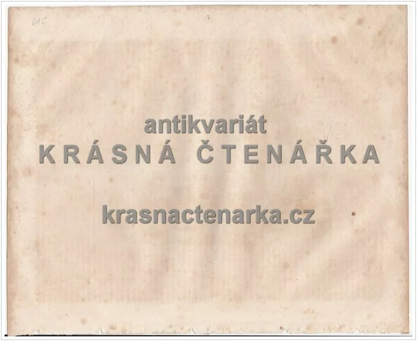 MAROCCO(Zechmayer / Haase, ocelorytina)