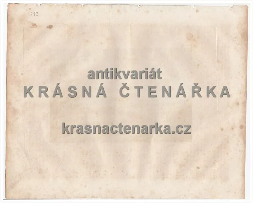 NÜRNBERG(Schmidt / Haase, ocelorytina)