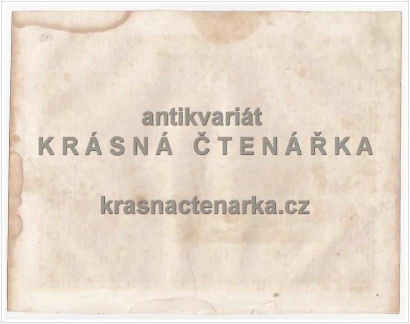 ZUG GEGEN DER RIGI (Archer / Haase /Griffiths, ocelorytina)