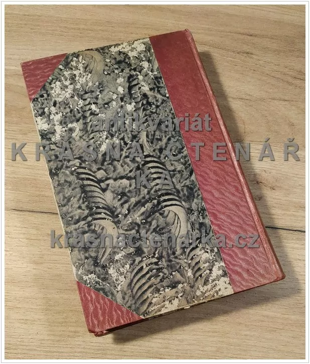 OBČANSKÁ NAUKA A ZÁKLADY OBČANSKÉ VÝCHOVY / OBČANSKÁ VÝCHOVA V PRAKSI NÁRODNÍ ŠKOLY ... (Červ / Novotný)