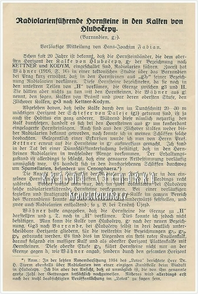 FIRGENWALD, für Geologie und Erdkunde der Sudetenländer (geologie, geografie, Sudety)