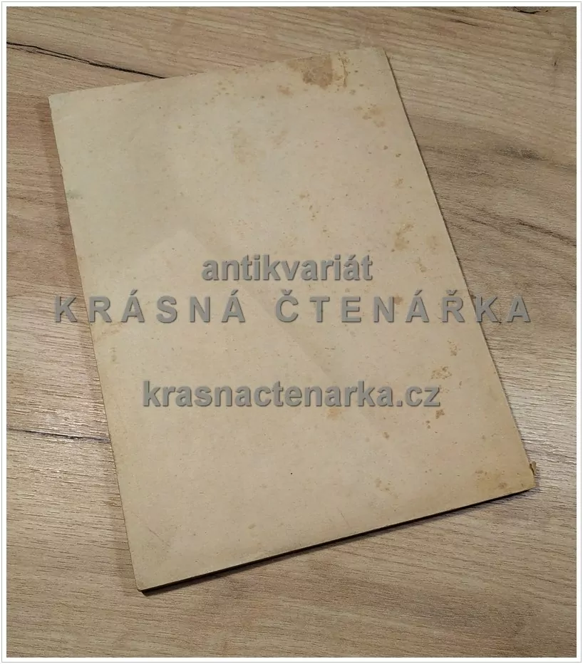 LIDOVÁ (KLERIKÁLNÍ) STRANA VE SVĚTLE PRAVDY (Janout Josef) 
