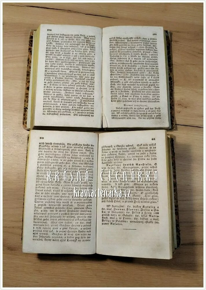 POPSÁNÍ ŽIWOTA A SKUTKŮ SWATÝCH A SWĚTIC BOŽÍCH (Dle Michala Ginzla a Františka Deinla ) ( Pohořelý M.)